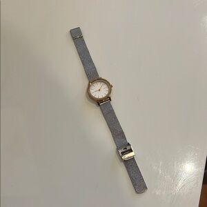 Skagen Silver and Gold Mesh Strap Watch